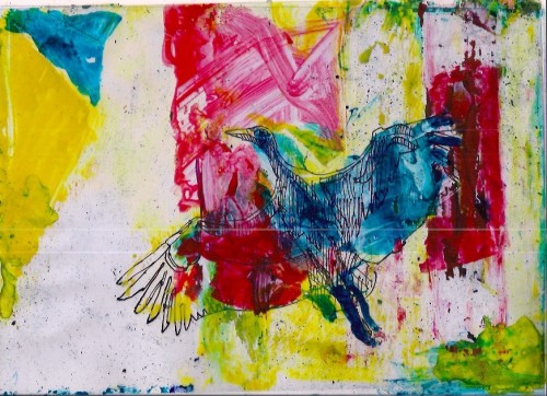 ptáci / birds