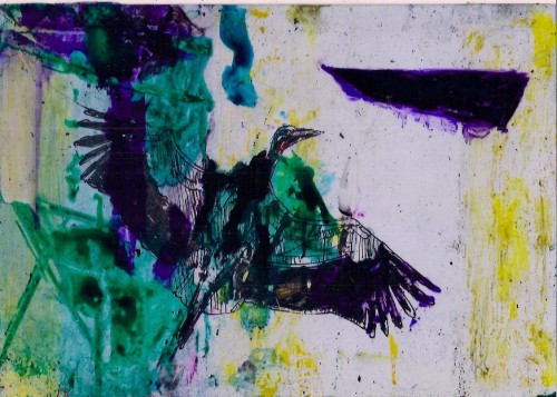 ptáci / birds