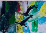 ptáci / birds
