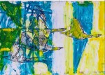 ptáci / birds
